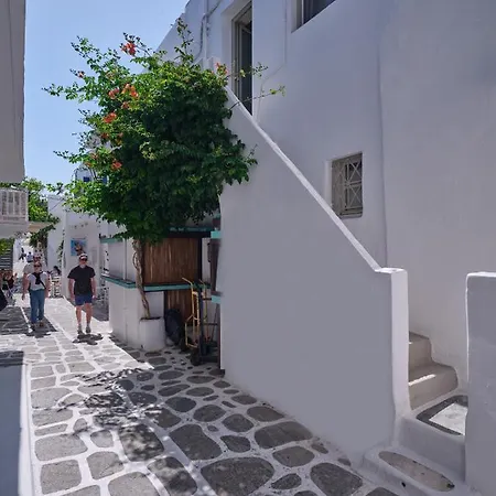 Flair Holiday home Naousa (Paros)